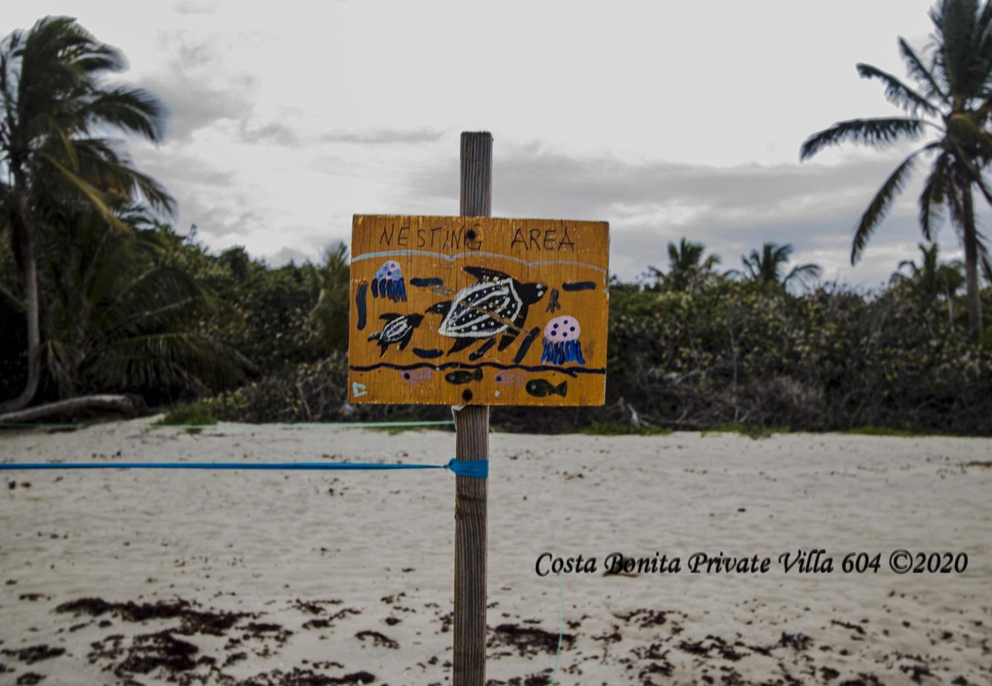 Costa Bonita Private Villa 604 Isla Culebra Ngoại thất bức ảnh